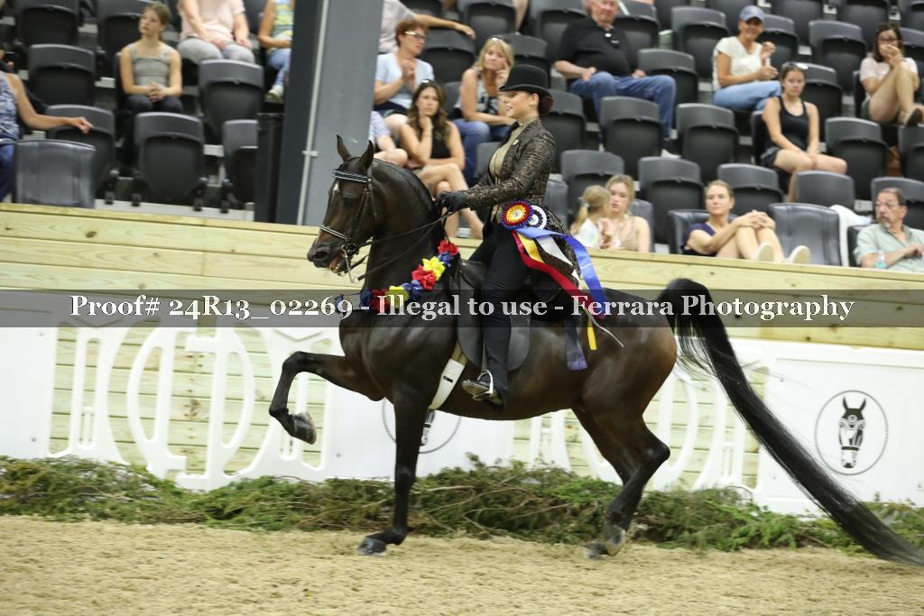 Proof Number 24R13_02269