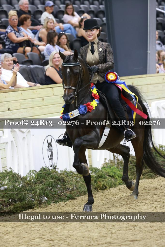 Proof Number 24R13_02276