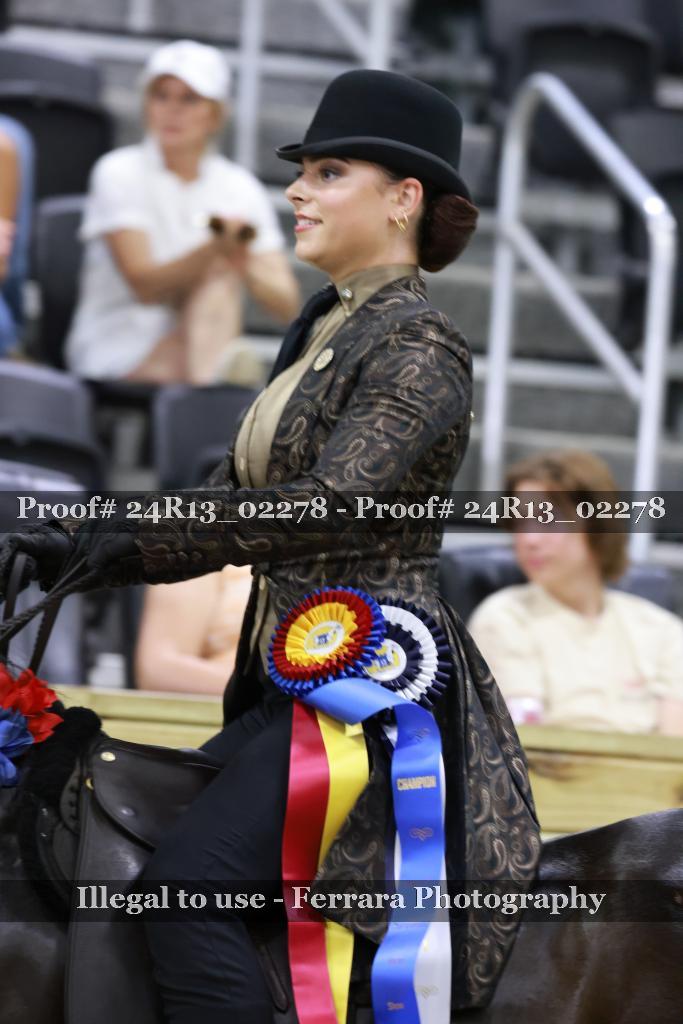 Proof Number 24R13_02278