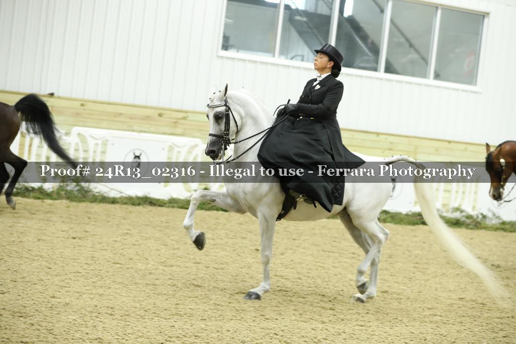 Proof Number 24R13_02316