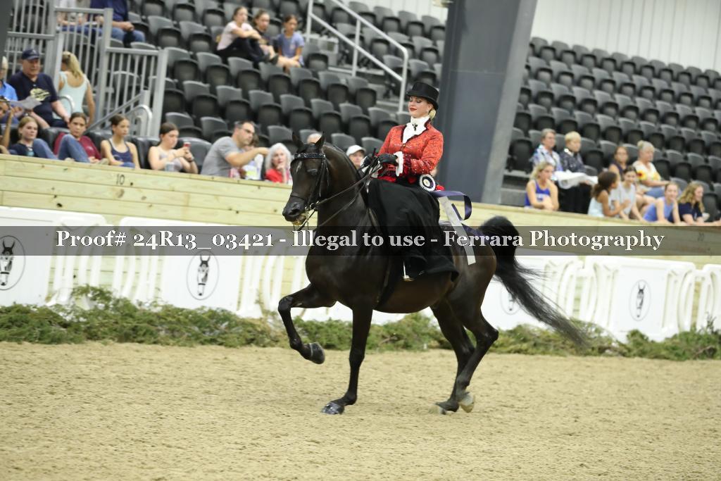 Proof Number 24R13_03421