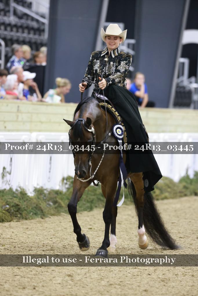 Proof Number 24R13_03445
