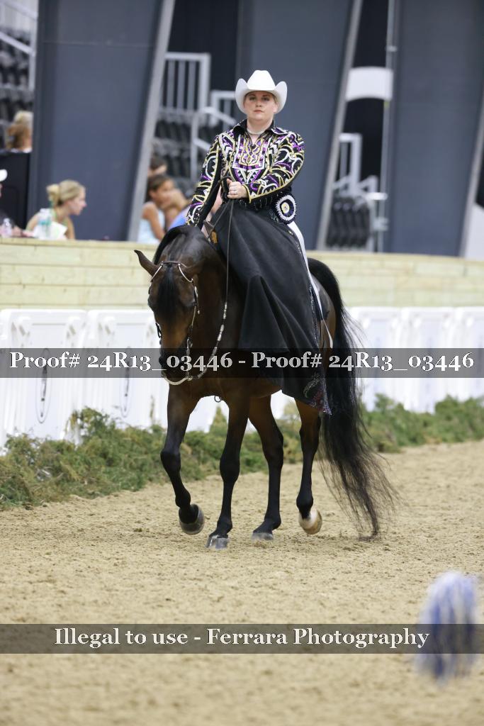 Proof Number 24R13_03446