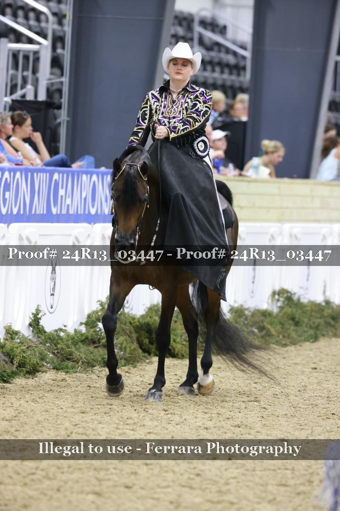 Proof Number 24R13_03447
