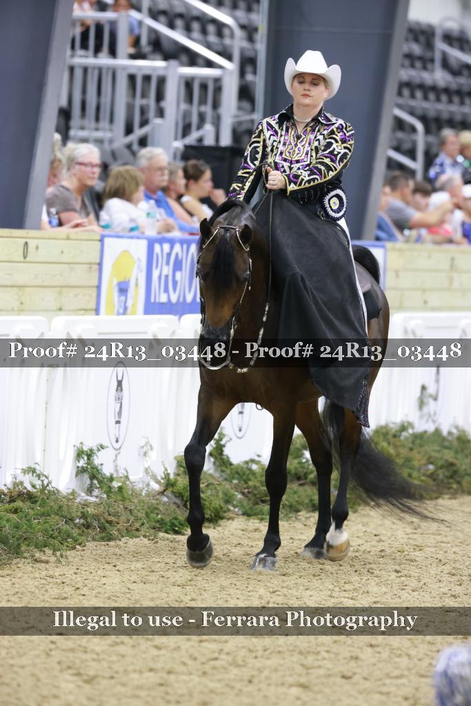 Proof Number 24R13_03448