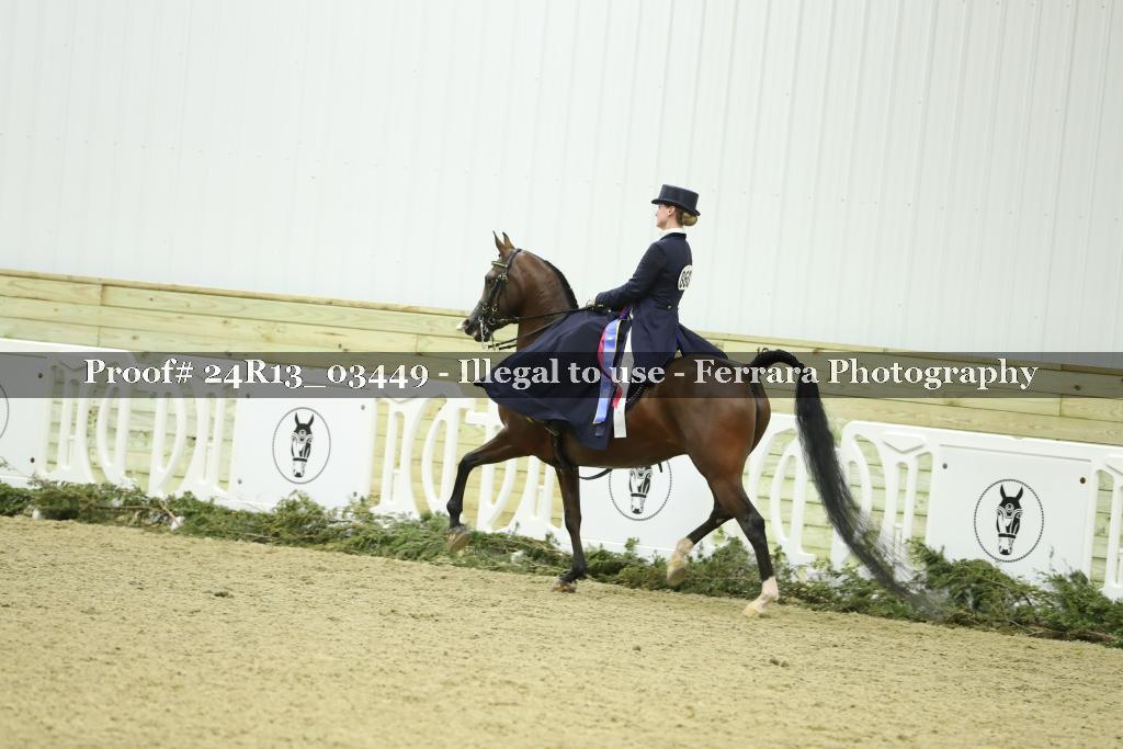 Proof Number 24R13_03449