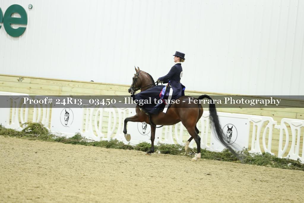 Proof Number 24R13_03450