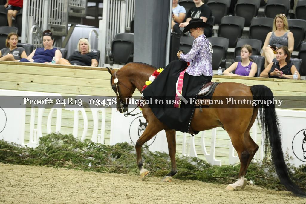 Proof Number 24R13_03458