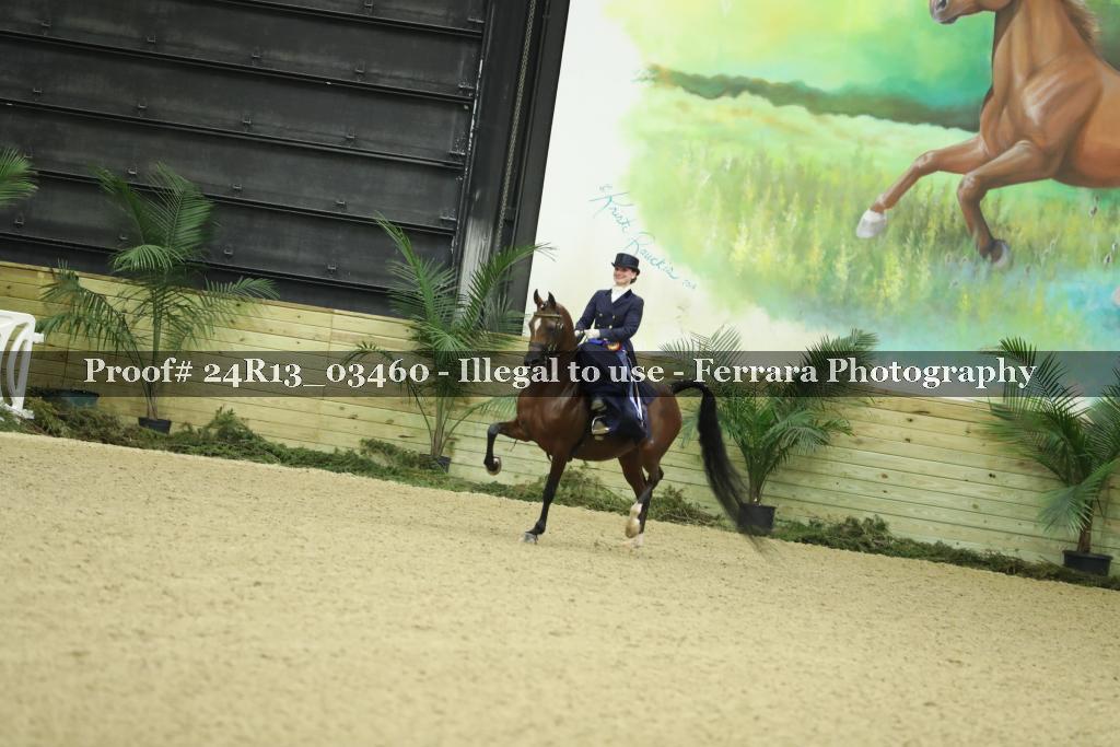 Proof Number 24R13_03460
