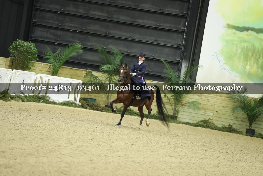Proof Number 24R13_03461