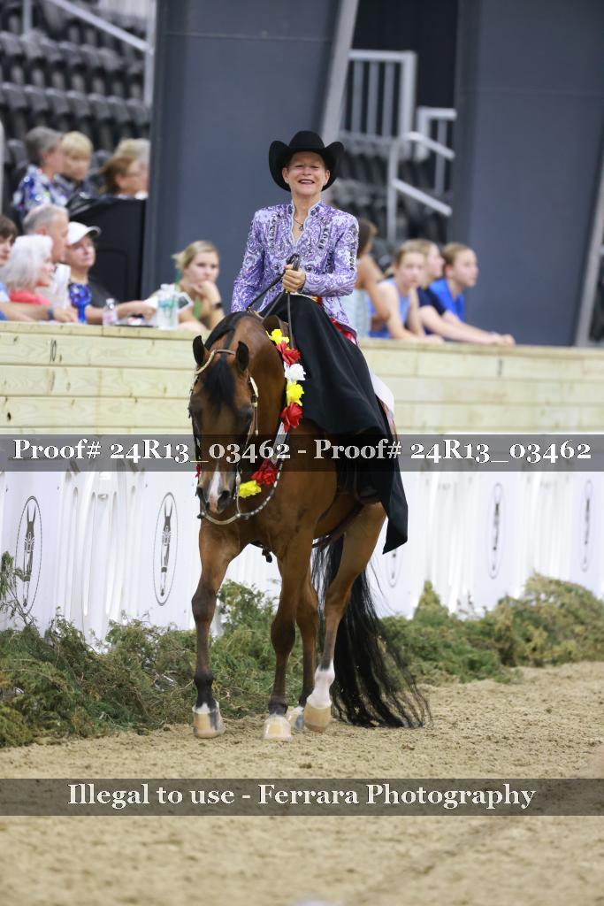 Proof Number 24R13_03462
