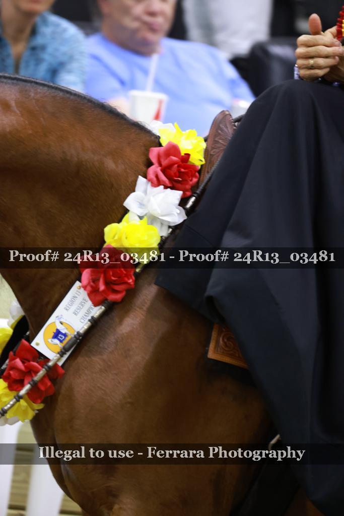 Proof Number 24R13_03481