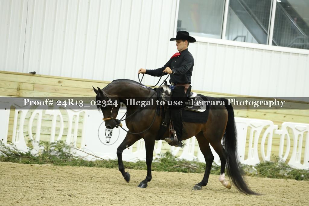 Proof Number 24R13_02324