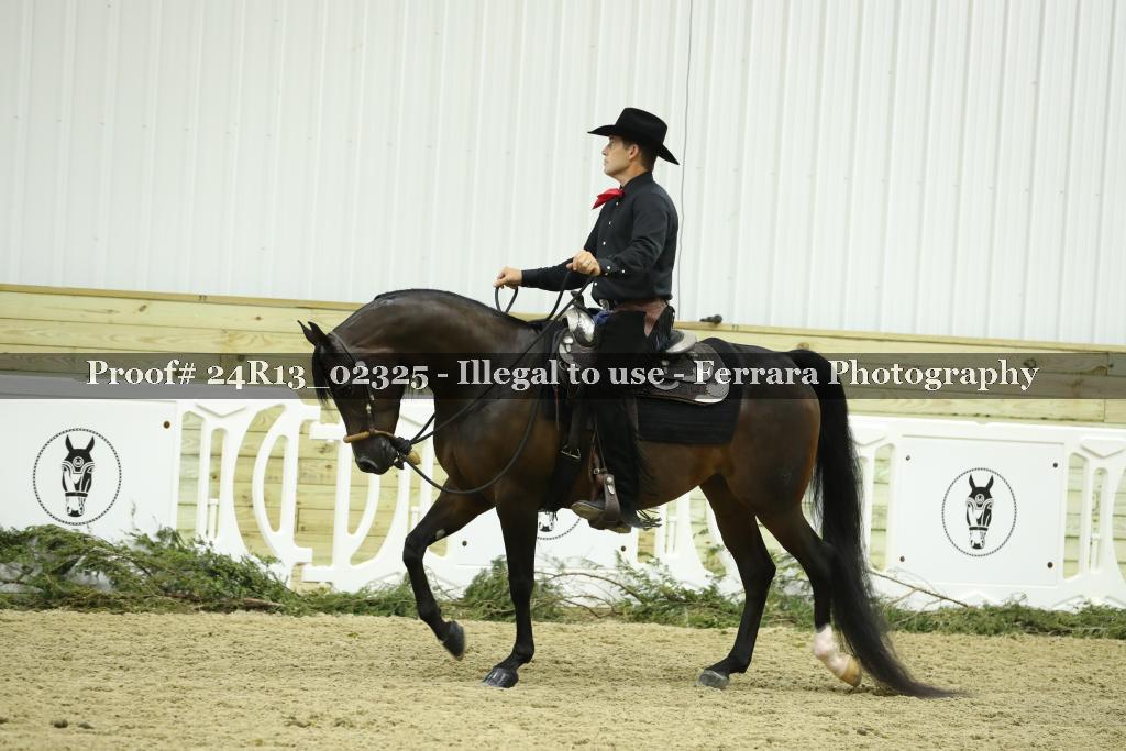 Proof Number 24R13_02325