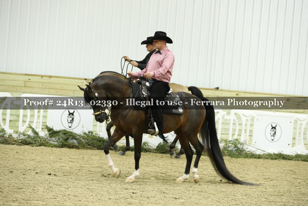 Proof Number 24R13_02330