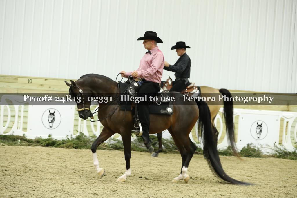 Proof Number 24R13_02331