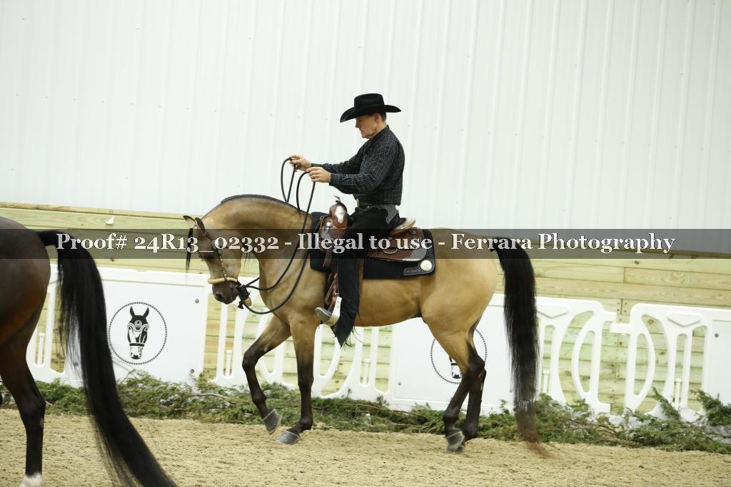 Proof Number 24R13_02332