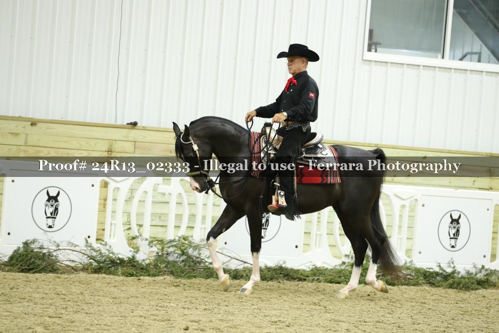 Proof Number 24R13_02333