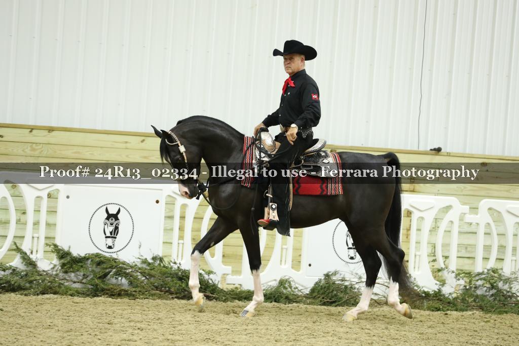 Proof Number 24R13_02334