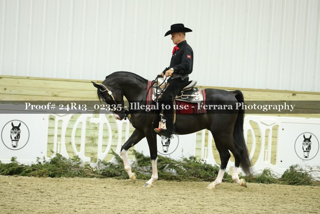 Proof Number 24R13_02335