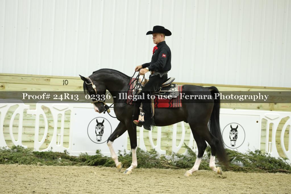 Proof Number 24R13_02336