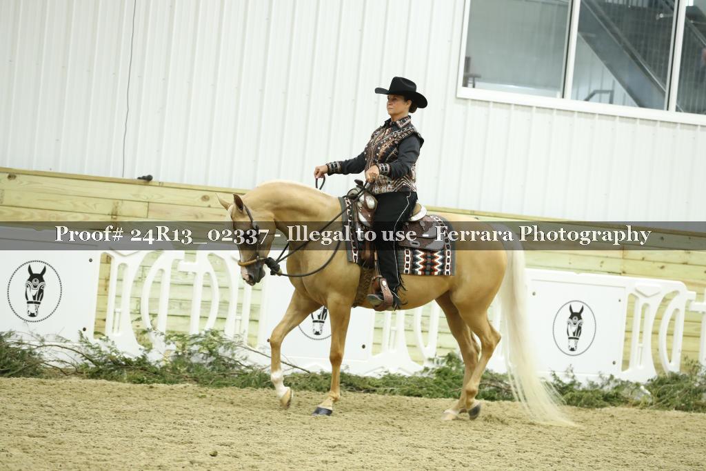Proof Number 24R13_02337