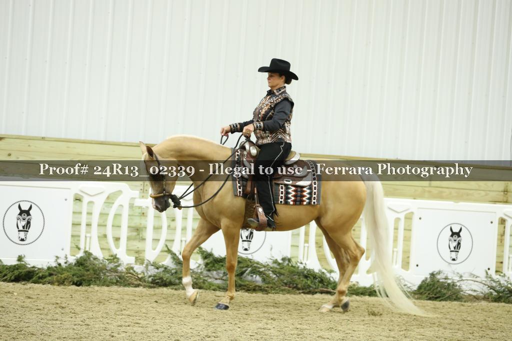 Proof Number 24R13_02339