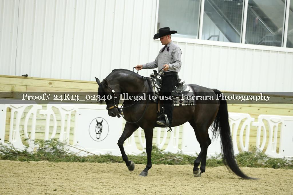 Proof Number 24R13_02340
