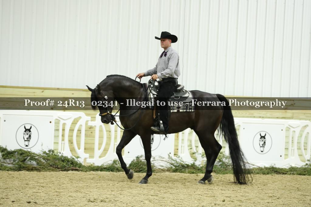 Proof Number 24R13_02341