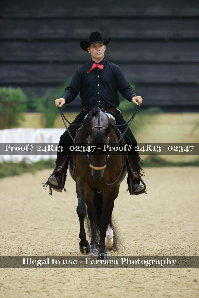 Proof Number 24R13_02347
