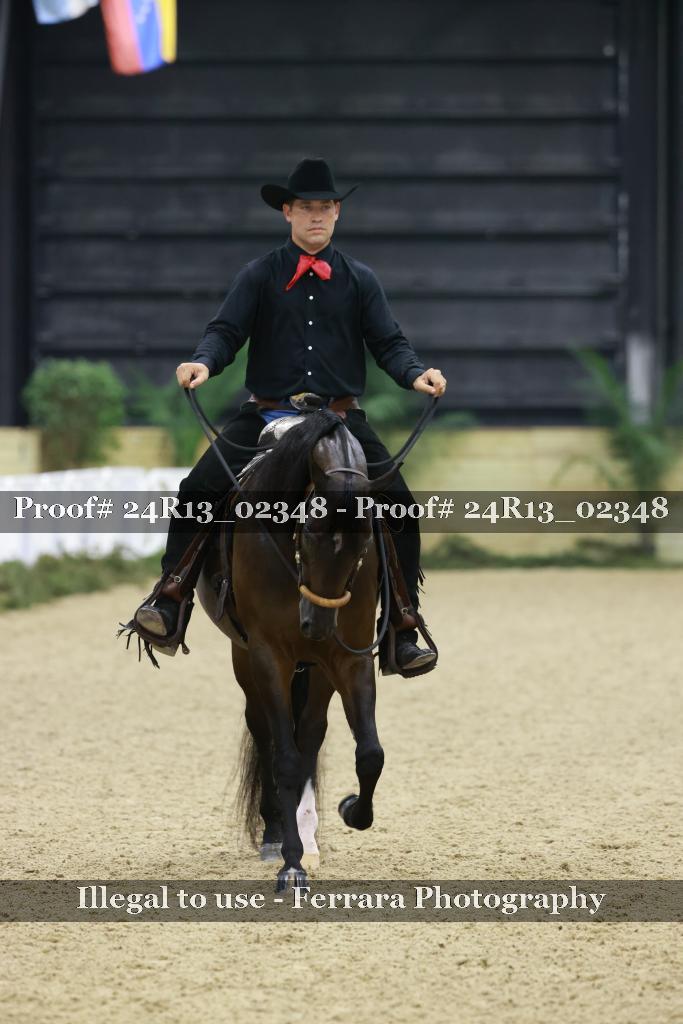 Proof Number 24R13_02348