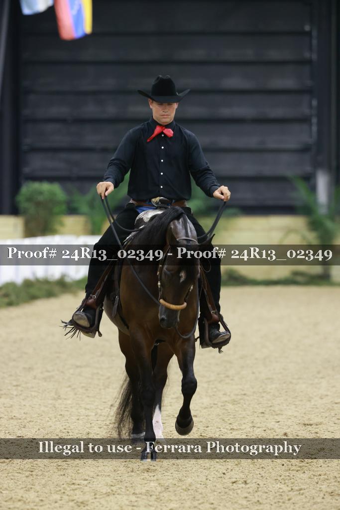Proof Number 24R13_02349