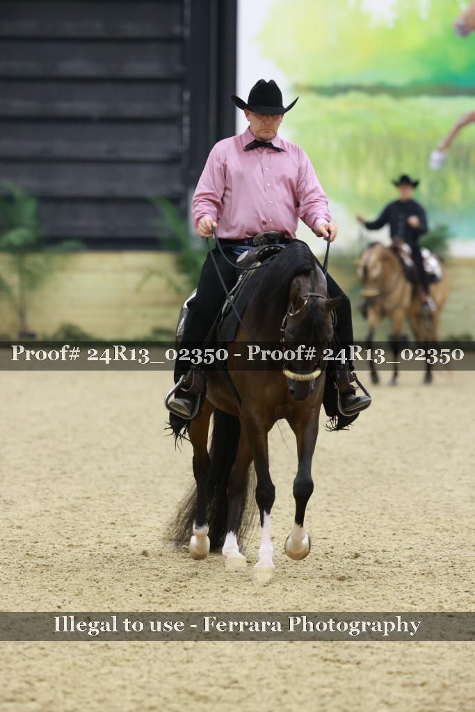 Proof Number 24R13_02350