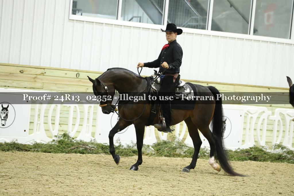 Proof Number 24R13_02352