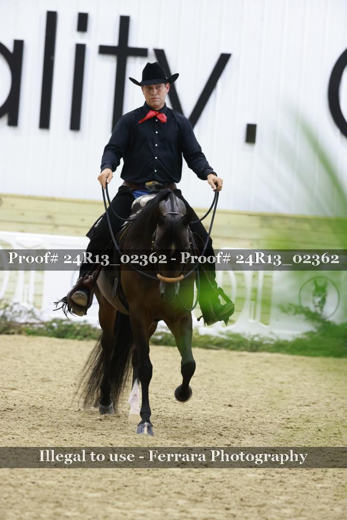 Proof Number 24R13_02362