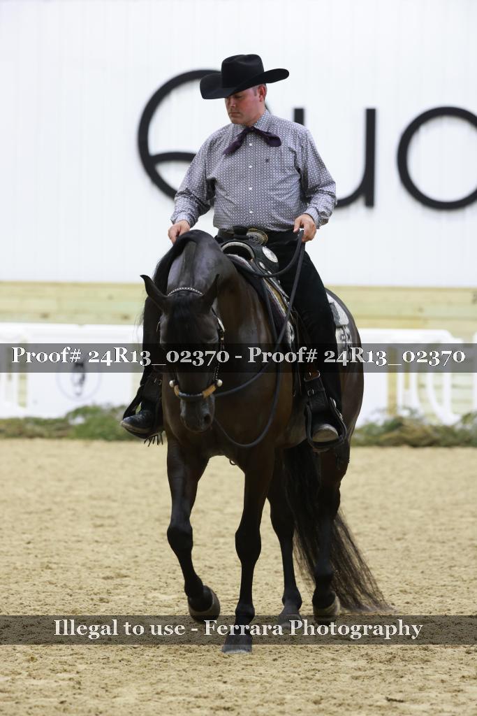Proof Number 24R13_02370