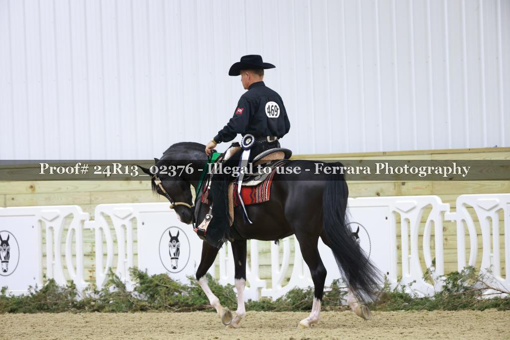 Proof Number 24R13_02376