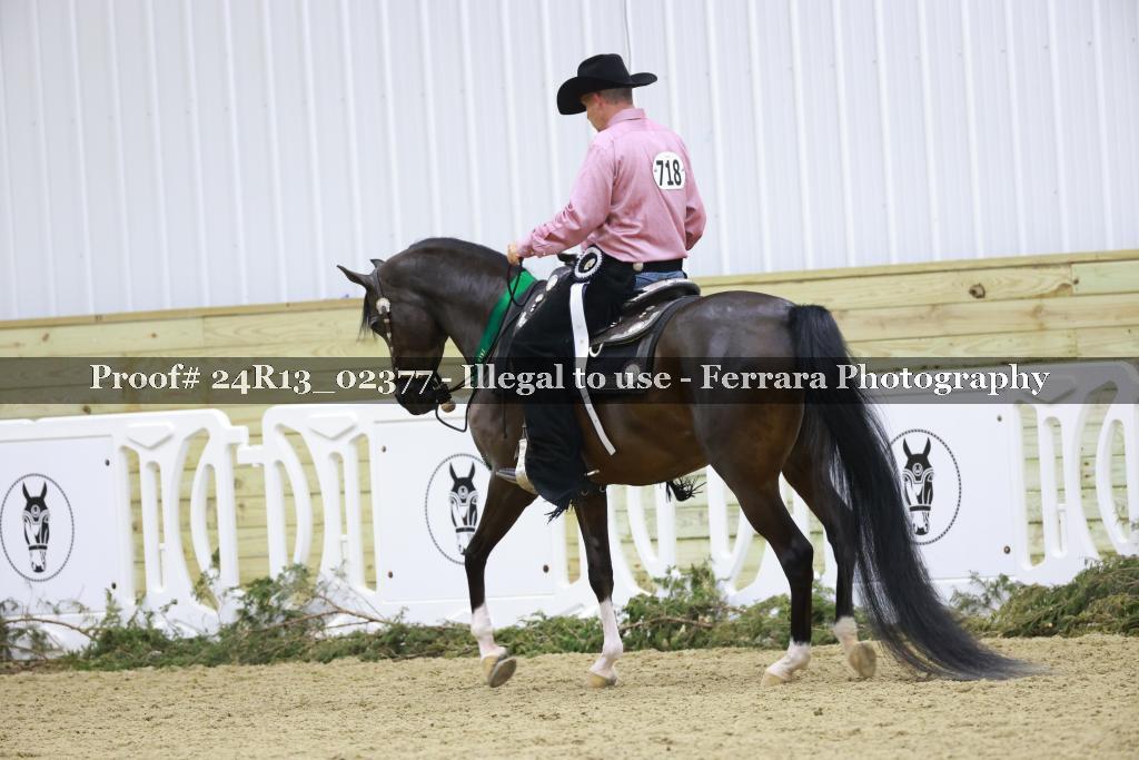 Proof Number 24R13_02377