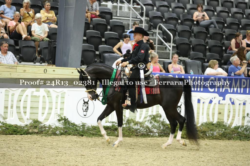 Proof Number 24R13_02381
