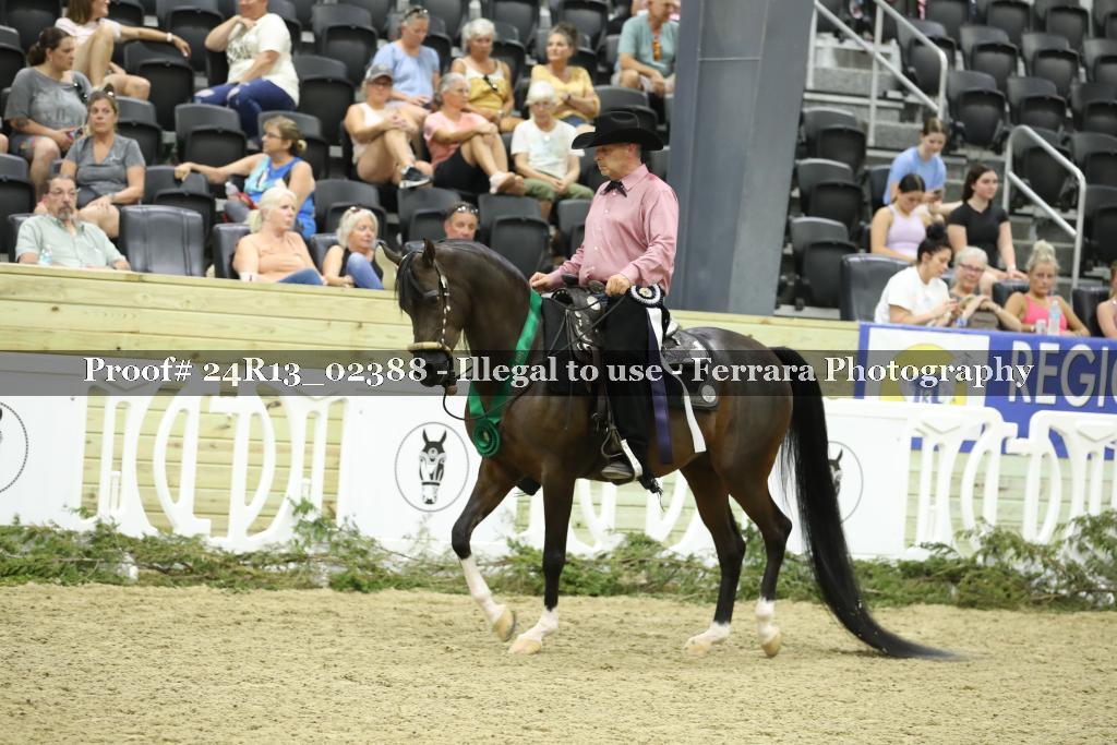 Proof Number 24R13_02388