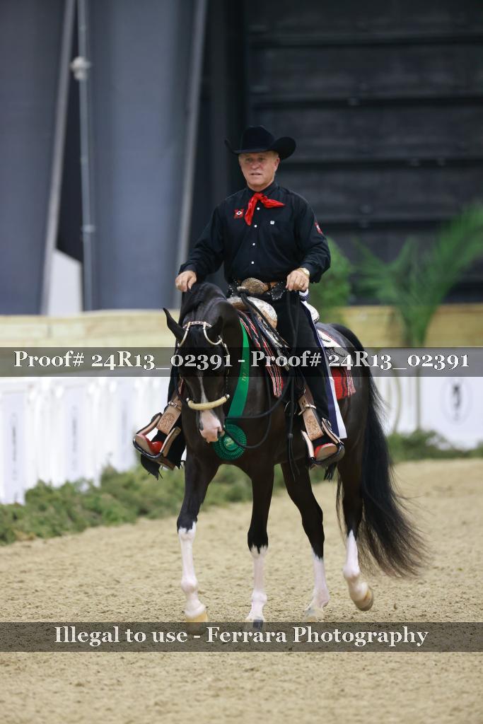 Proof Number 24R13_02391