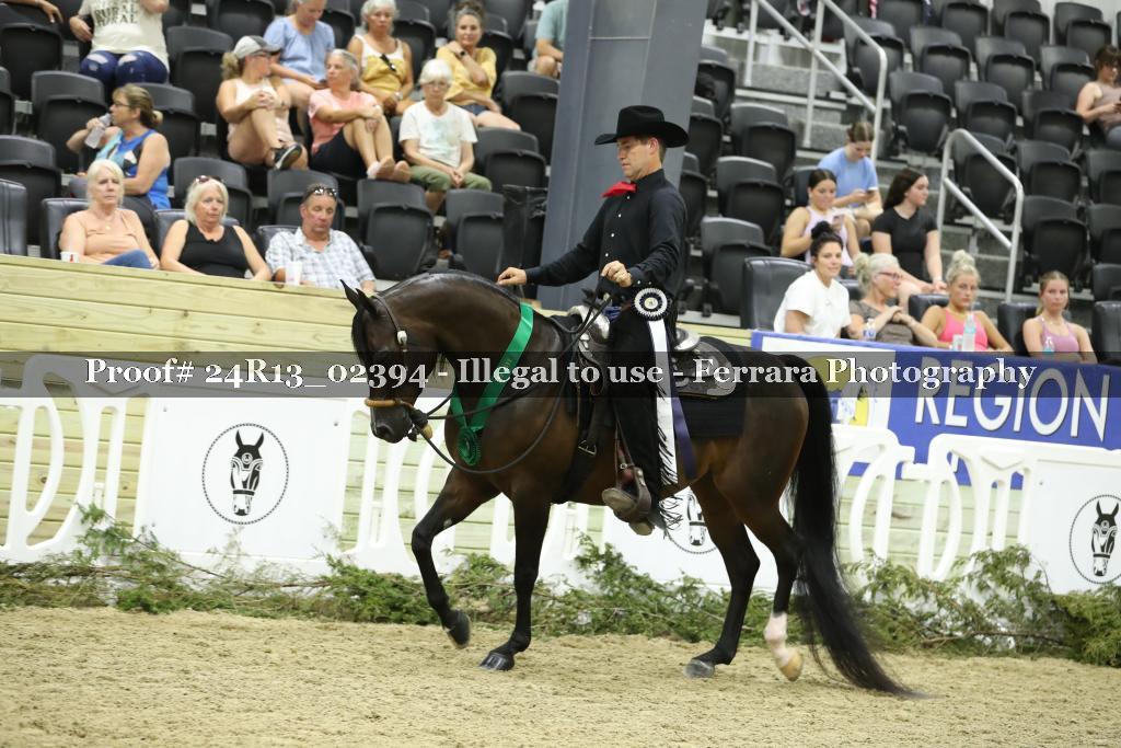 Proof Number 24R13_02394