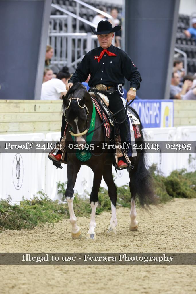 Proof Number 24R13_02395