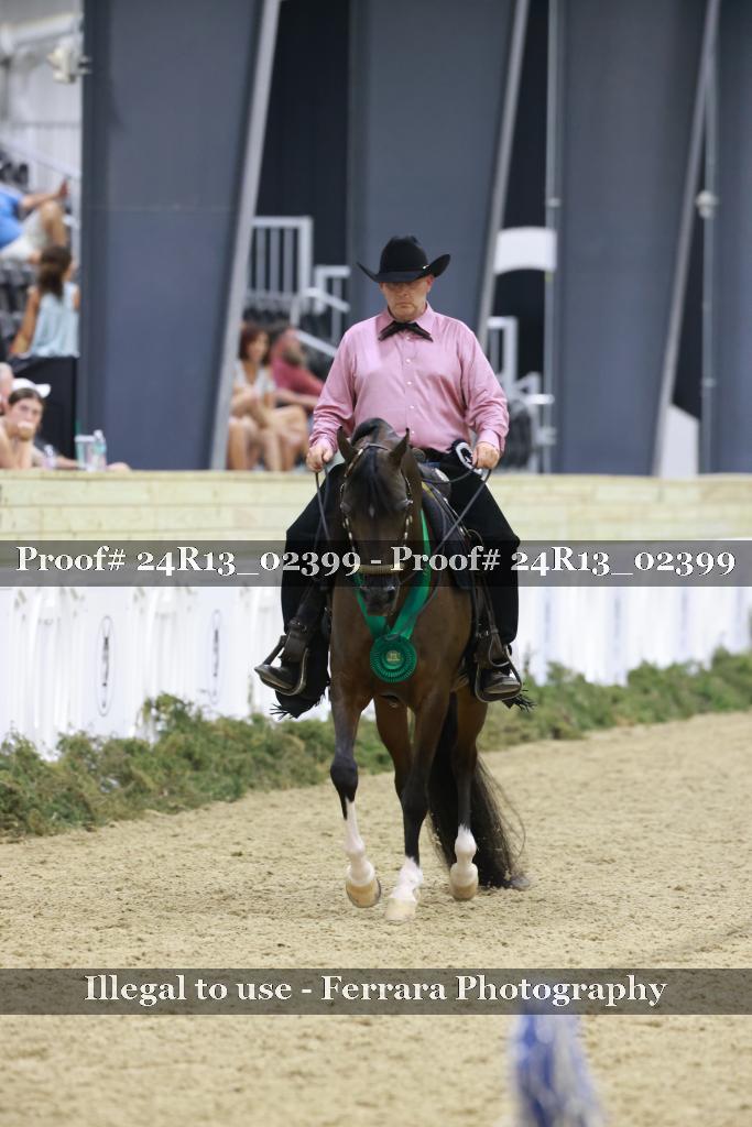 Proof Number 24R13_02399