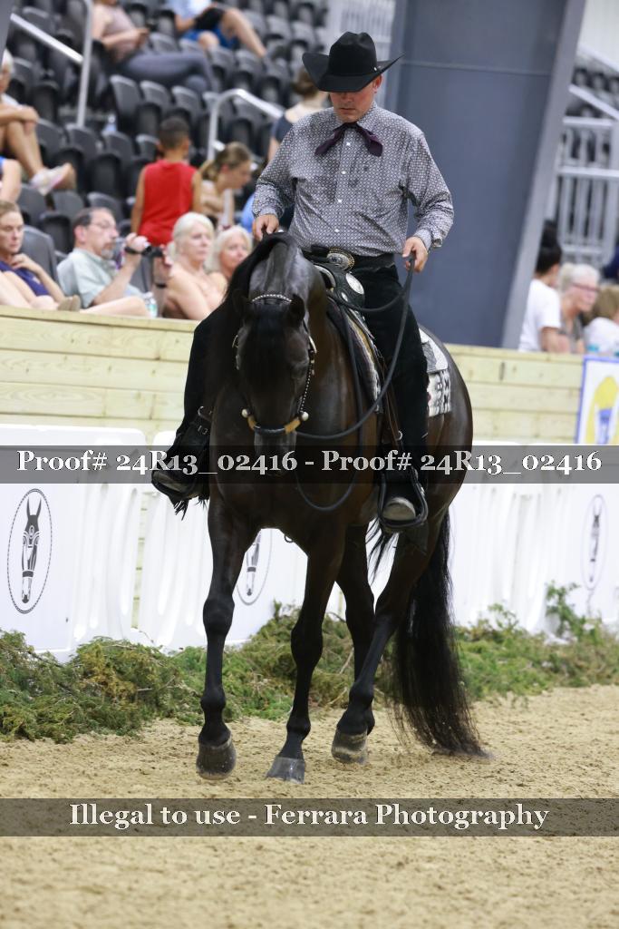 Proof Number 24R13_02416