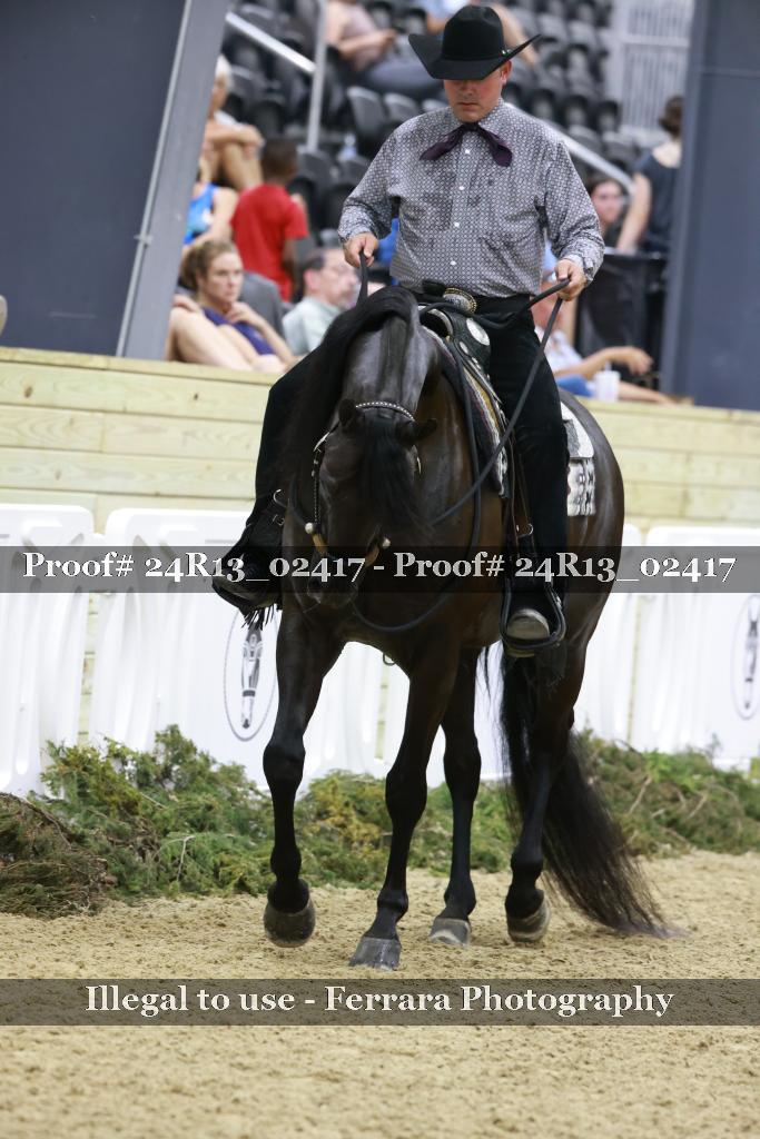 Proof Number 24R13_02417