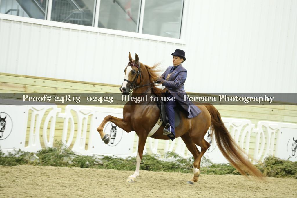 Proof Number 24R13_02423