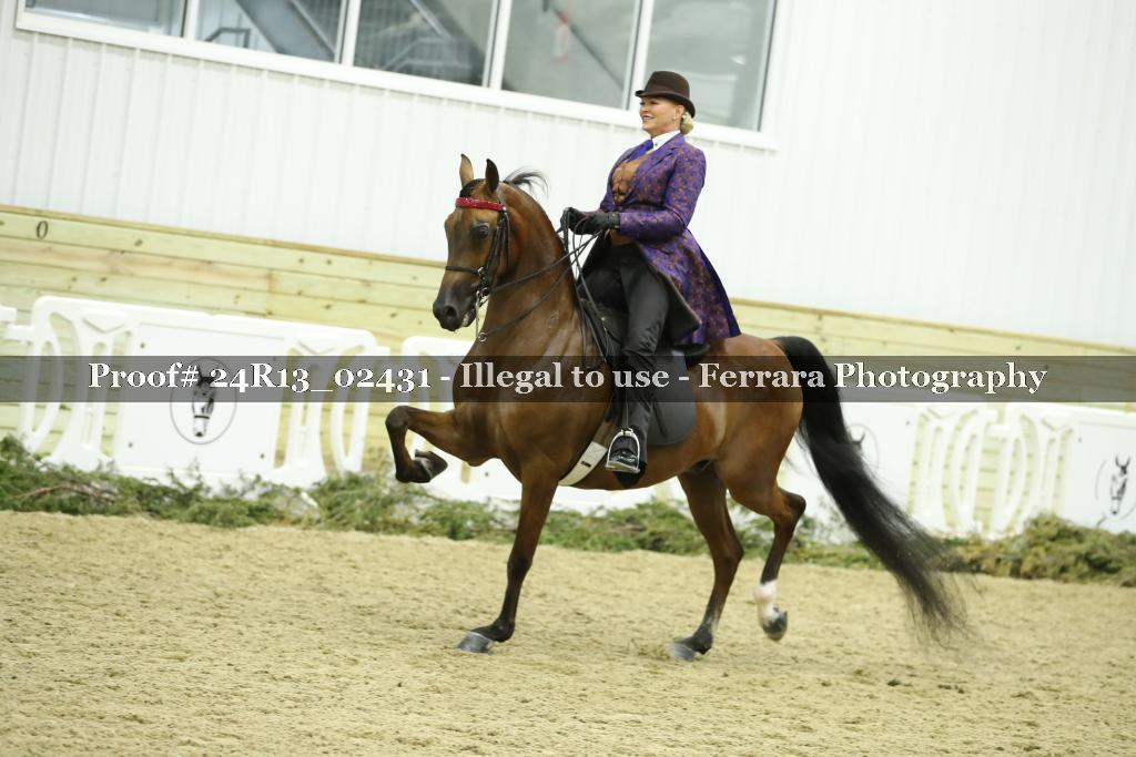 Proof Number 24R13_02431