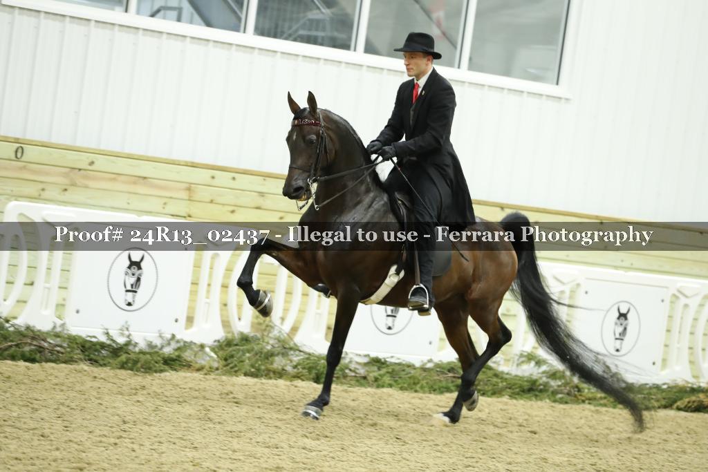 Proof Number 24R13_02437