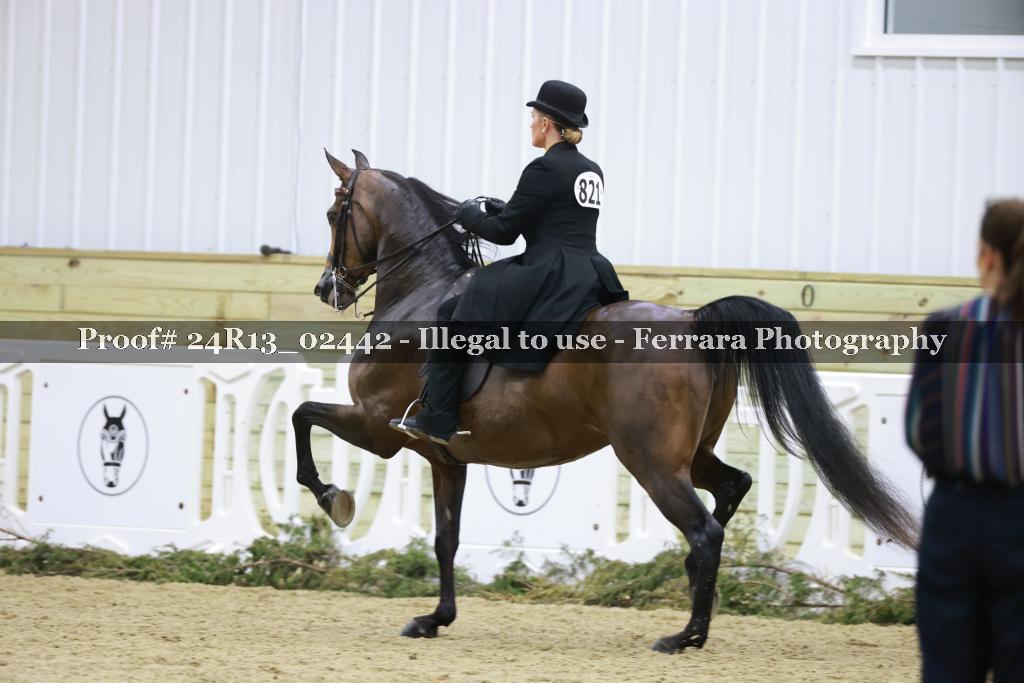 Proof Number 24R13_02442